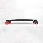 Lightweight Portable Electric Skateboard , SYL-07 Motor Powered Longboard