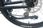 200w 2 Wheel Drive Electric Bike Dewasa 29 Inch 40 Mph E Fat Tire Sepeda Bermotor Portabel