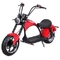 Sepeda Motor Skuter Listrik Kecil Untuk Dewasa Sepeda Motor Listrik Untuk Orang Dewasa Jalan Legal 40 50 55 Mph
