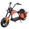 Sepeda Motor Skuter Listrik Kecil Untuk Dewasa Sepeda Motor Listrik Untuk Orang Dewasa Jalan Legal 40 50 55 Mph
