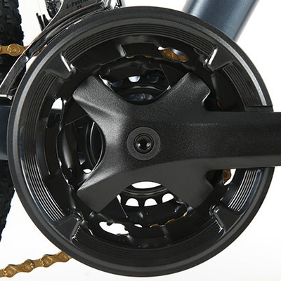 250W 750w Electric City Bike 16.5AH Baterai Motor Ganda Untuk Dewasa