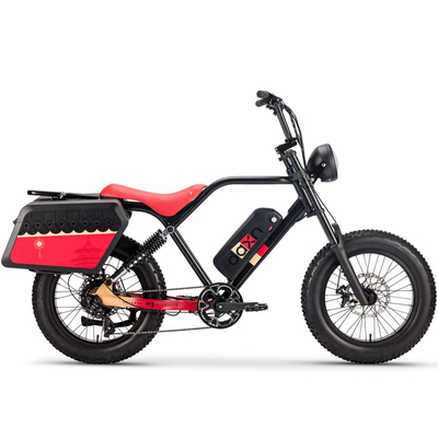 250W 750w Elektrische Fiets Baterai Sepeda 48v 20AH Ban Lemak Untuk Dewasa